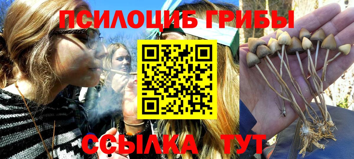 сколько стоит  Псилоцибиновые грибы ЛСД  Вход с VPN  Сухой Лог 